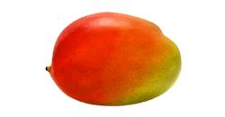 Dein Baby hat deii Größe einer Mango 20. SSW