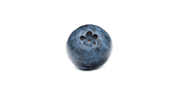 Blaubeere