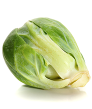Dein Baby ist so groß wie ein Rosenkohl