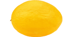 36. SSW Honigmelone