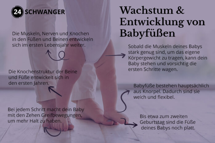 Lauflernschuhe: Infographik über die Entwicklung Füße.
