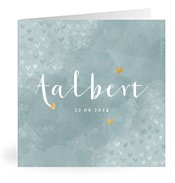 Geboortekaartjes met de naam Aalbert