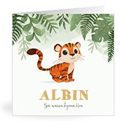 Geboortekaartjes met de naam Albin