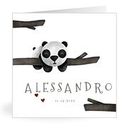Geboortekaartjes met de naam Alessandro