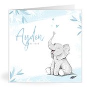 Geboortekaartjes met de naam Ayden