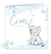 babynamen_card_with_name Cian