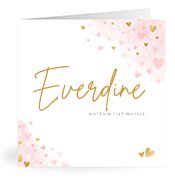 Geboortekaartjes met de naam Everdine