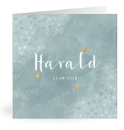 Geboortekaartjes met de naam Harald