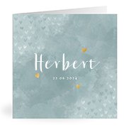 Geboortekaartjes met de naam Herbert