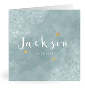 Geboortekaartjes met de naam Jackson