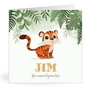 Geboortekaartjes met de naam Jim