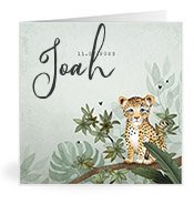 Geboortekaartjes met de naam Joah