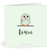 Geboortekaartjes met de naam Liam
