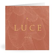 Geboortekaartjes met de naam Luce