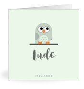 Geboortekaartjes met de naam Ludo