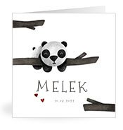 Geburtskarten mit dem Vornamen Melek