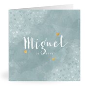 Geboortekaartjes met de naam Miguel