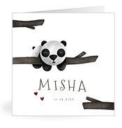 Geboortekaartjes met de naam Misha