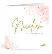 Geboortekaartjes met de naam Nicolien