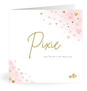 Geboortekaartjes met de naam Pixie