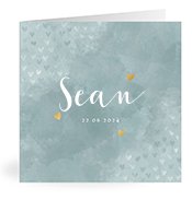 Geboortekaartjes met de naam Sean