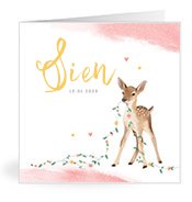 Geboortekaartjes met de naam Sien