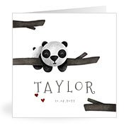 babynamen_card_with_name Taylor