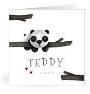 Geboortekaartjes met de naam Teddy