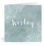 Geboortekaartjes met de naam Wesley